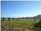 Maroochy River QLD 4561