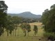 Yandina QLD 4561