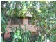 Nambour QLD 4560
