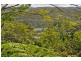 Yandina QLD 4561