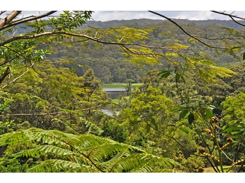Yandina QLD 4561