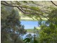 Yandina QLD 4561