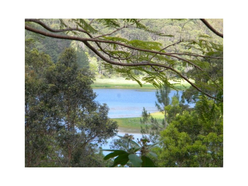 Yandina QLD 4561