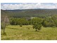 Yandina QLD 4561