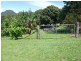 Yandina QLD 4561