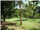 Rosemount QLD 4560