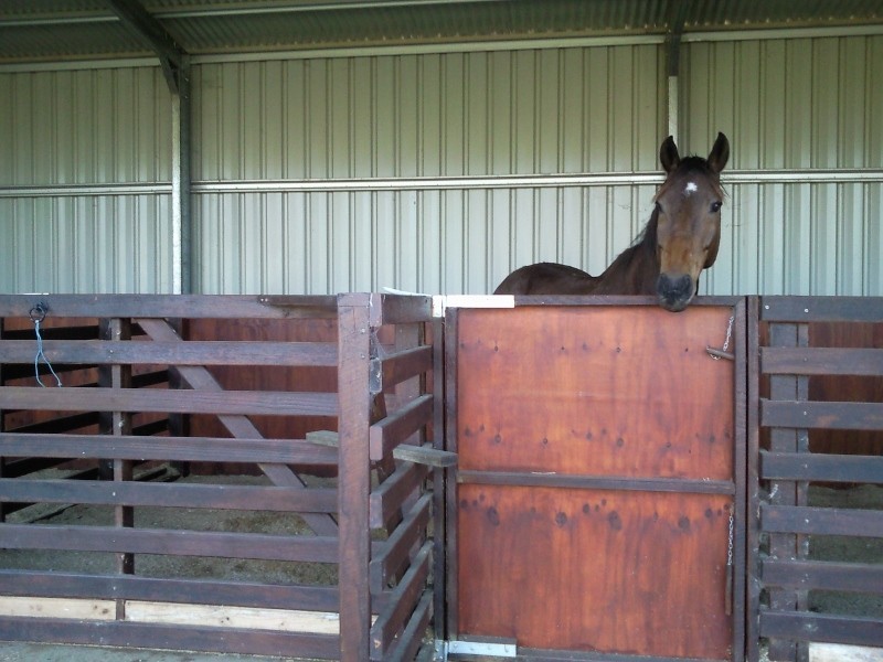 West Woombye QLD 4559