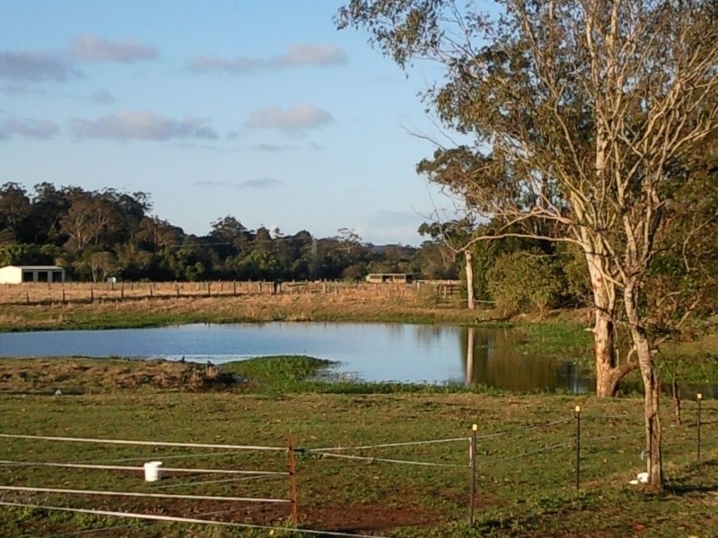 West Woombye QLD 4559