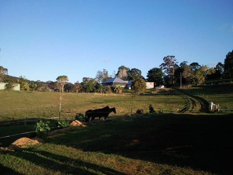 West Woombye QLD 4559