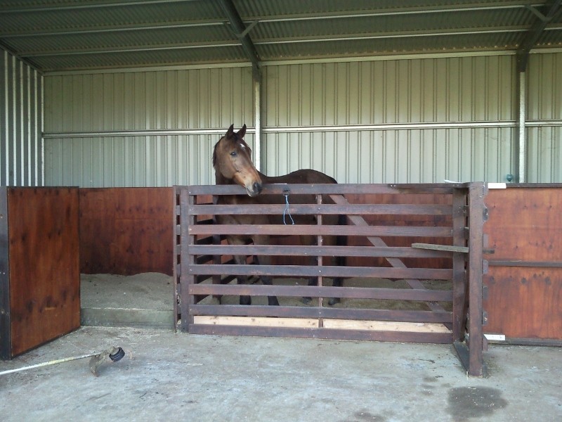 West Woombye QLD 4559