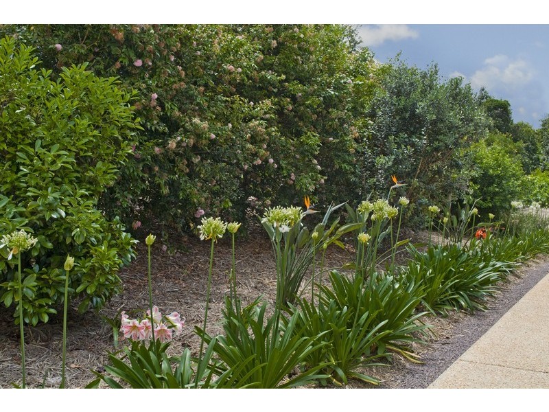 41A Campbell Street, Woombye QLD 4559