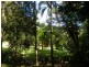 50 Paynters Creek Road, Rosemount QLD 4560