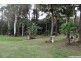 111A Kentish Road, Kiels Mountain QLD 4559