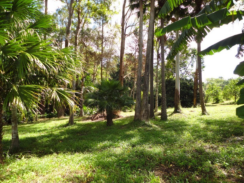 111A Kentish Road, Kiels Mountain QLD 4559