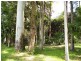 111A Kentish Road, Kiels Mountain QLD 4559