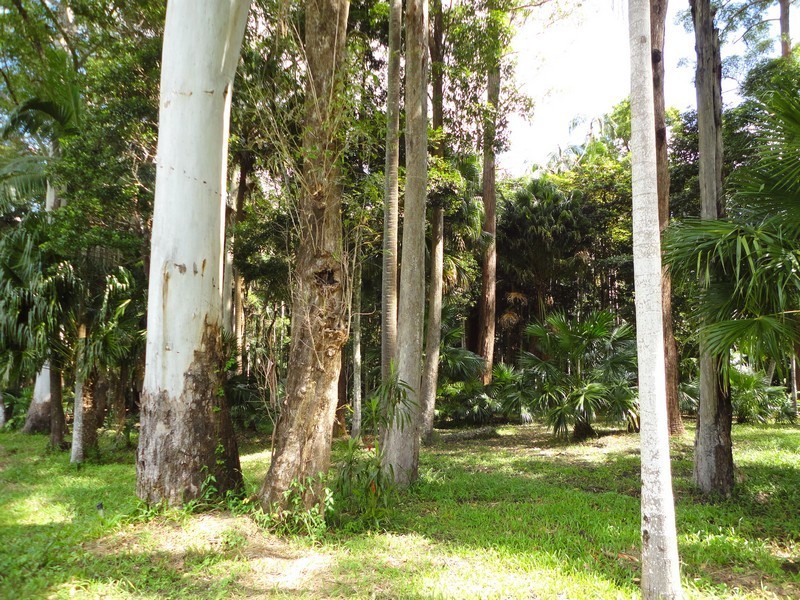 111A Kentish Road, Kiels Mountain QLD 4559
