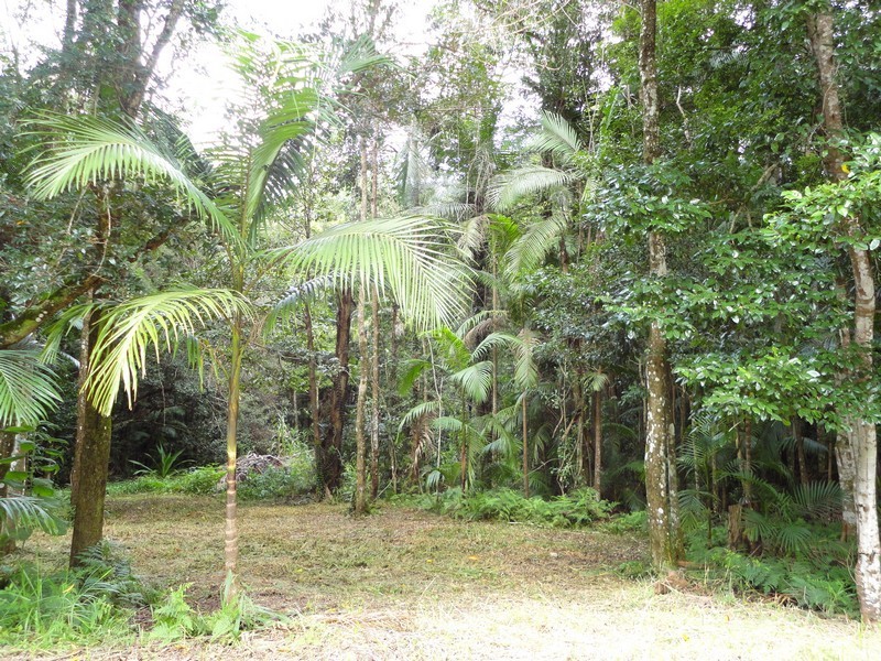 111A Kentish Road, Kiels Mountain QLD 4559