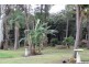 111A Kentish Road, Kiels Mountain QLD 4559
