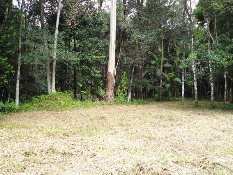 111A Kentish Road, Kiels Mountain QLD 4559