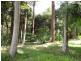 111A Kentish Road, Kiels Mountain QLD 4559