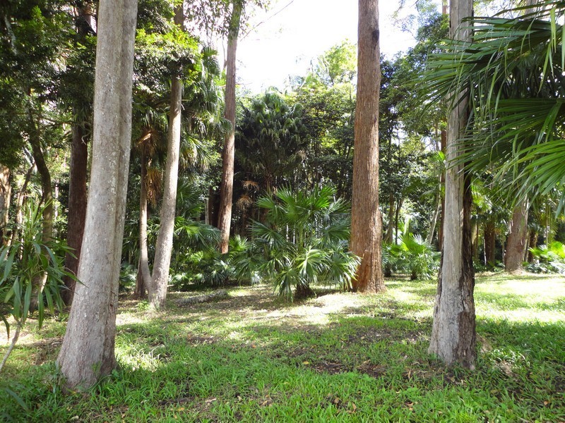 111A Kentish Road, Kiels Mountain QLD 4559