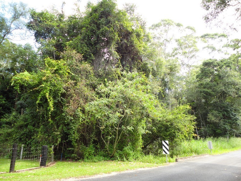 111A Kentish Road, Kiels Mountain QLD 4559