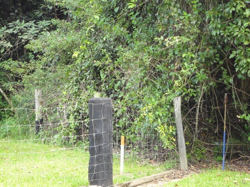 111A Kentish Road, Kiels Mountain QLD 4559