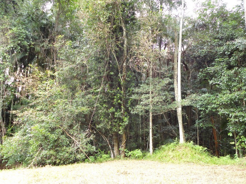 111A Kentish Road, Kiels Mountain QLD 4559