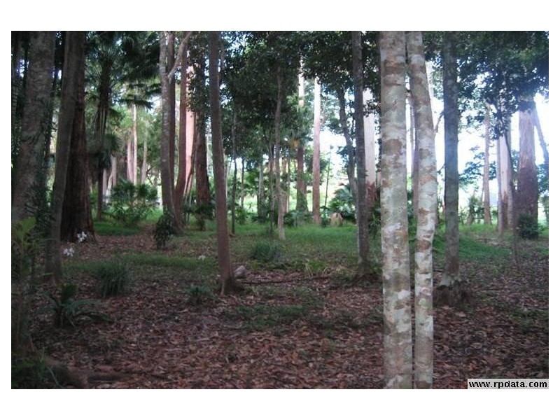 111A Kentish Road, Kiels Mountain QLD 4559