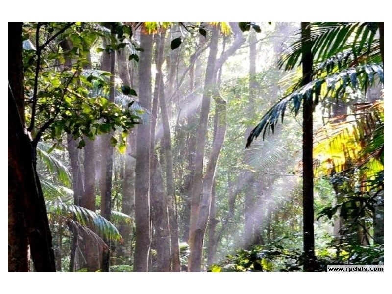 111A Kentish Road, Kiels Mountain QLD 4559