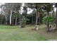111A Kentish Road, Kiels Mountain QLD 4559