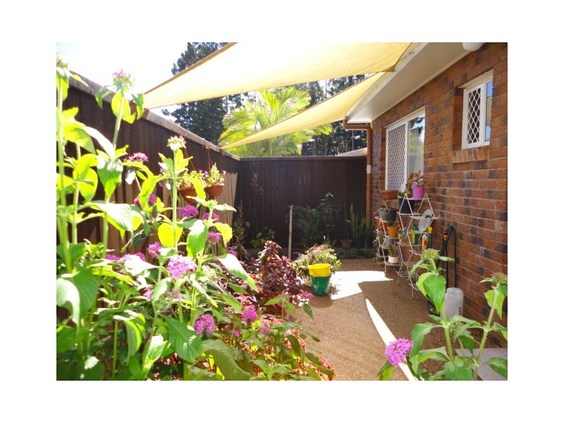 Nambour QLD 4560