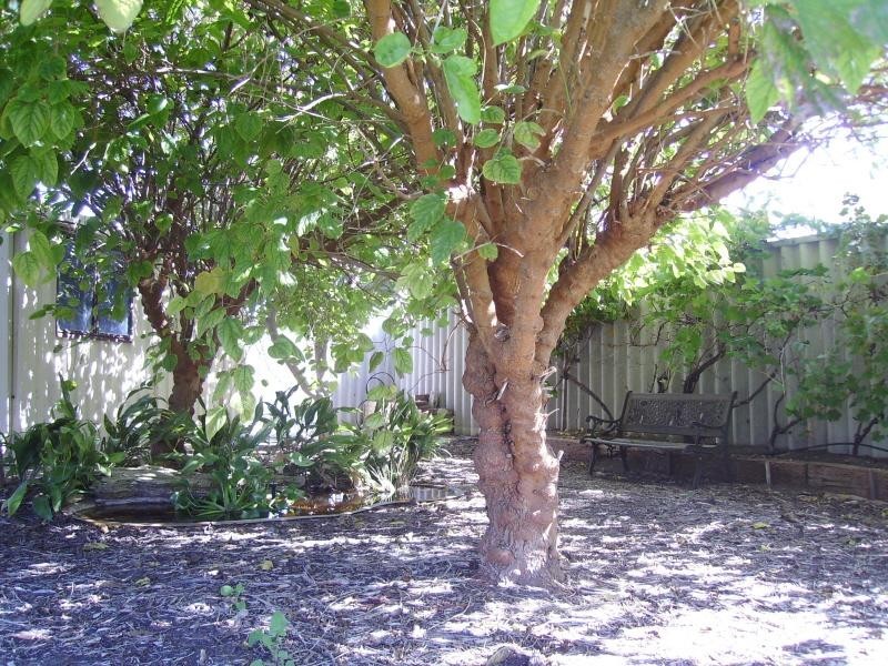 10 Glenroy Gardens, Port Kennedy WA 6172