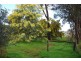 19 Cleopatra Crescent, Bridgetown WA 6255