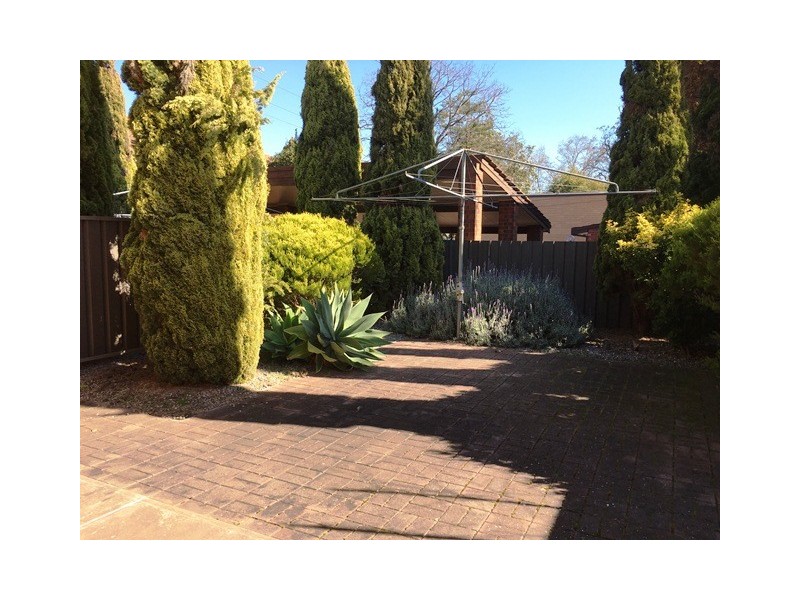 4/135 Kensington Rd, Norwood SA 5067