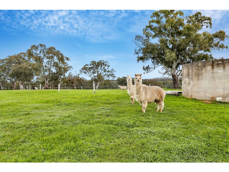 287 Cromer Road, Birdwood SA 5234