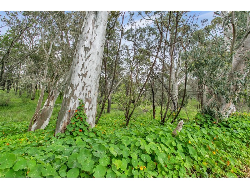 19 Stonyfell Road, Wattle Park SA 5066