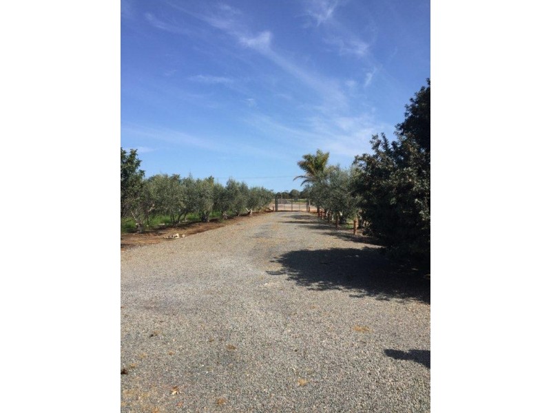 Lot 10, 6 Trim Road, Two Wells SA 5501