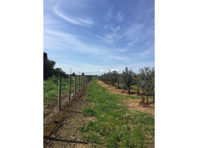 Lot 10, 6 Trim Road, Two Wells SA 5501