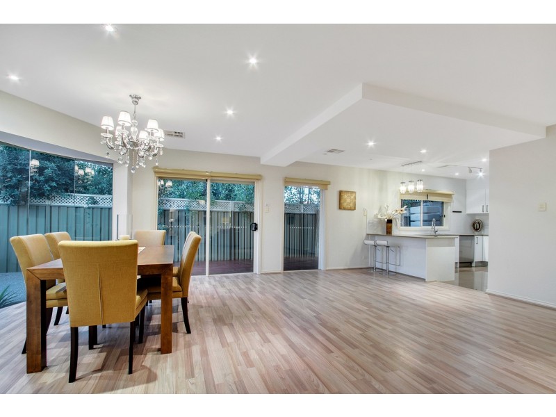 12B Herbert Road, Ashford SA 5035