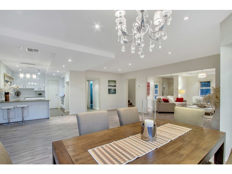 12B Herbert Road, Ashford SA 5035