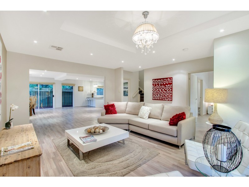 12B Herbert Road, Ashford SA 5035