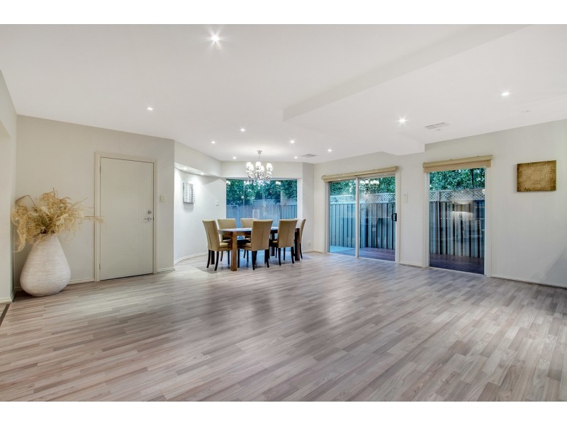 12B Herbert Road, Ashford SA 5035