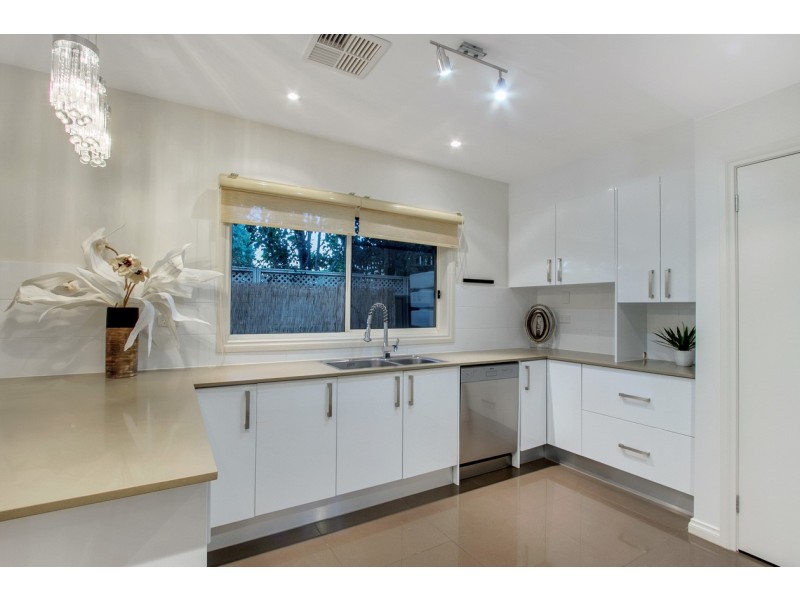 12B Herbert Road, Ashford SA 5035