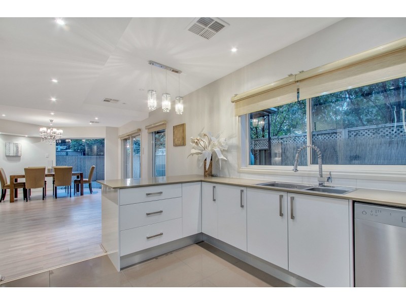 12B Herbert Road, Ashford SA 5035