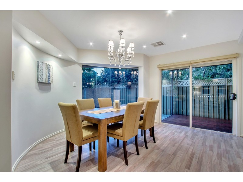 12B Herbert Road, Ashford SA 5035