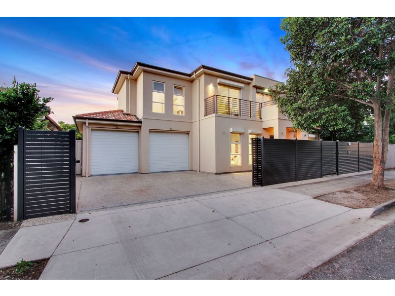 12B Herbert Road, Ashford SA 5035