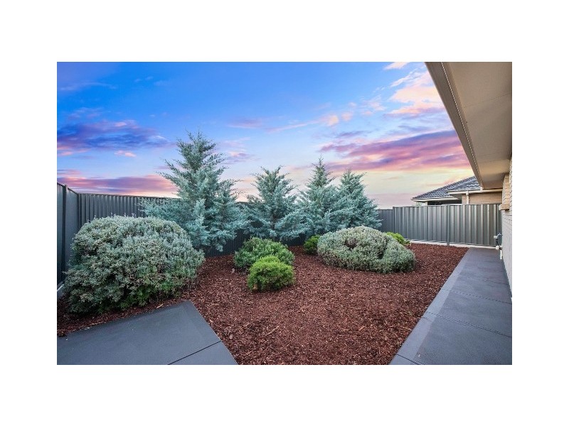13 The Avenue, Blakeview SA 5114