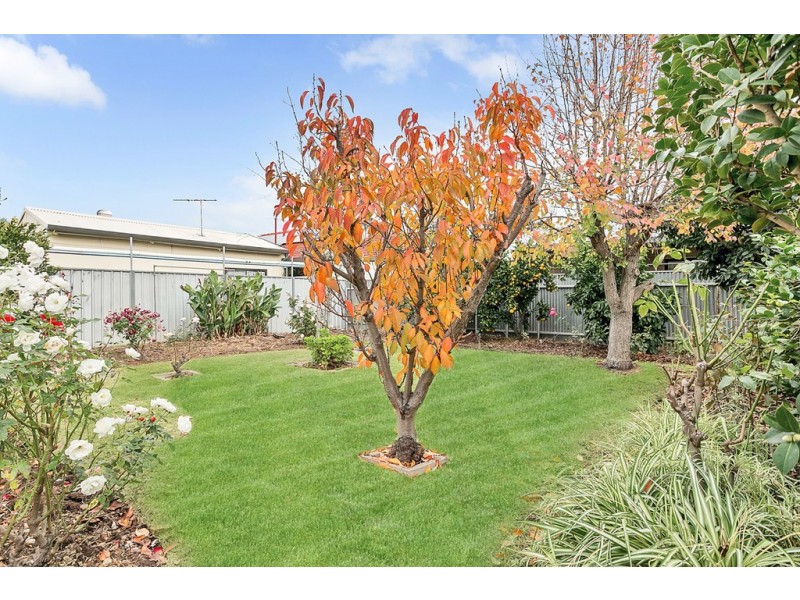 25 Shirley Avenue, Woodville West SA 5011