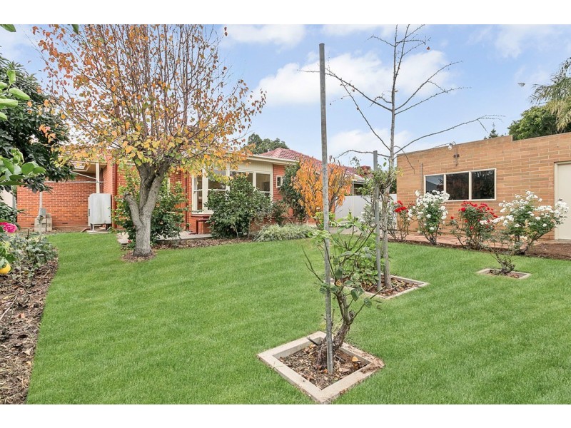 25 Shirley Avenue, Woodville West SA 5011